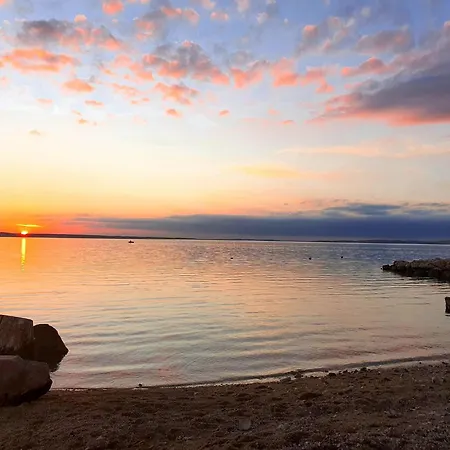 Adriatic Blue Dream *