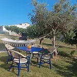 Adriatic Blue Dream רטינה