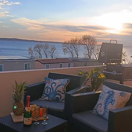 Adriatic Blue Dream *